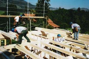 Haus aufrichten